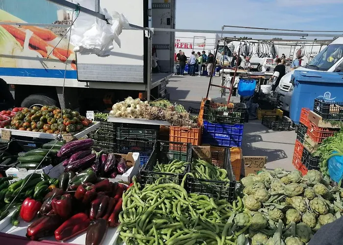 Francisco Casanovas Apartment Torrevieja