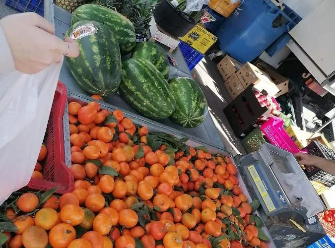 Francisco Casanovas *