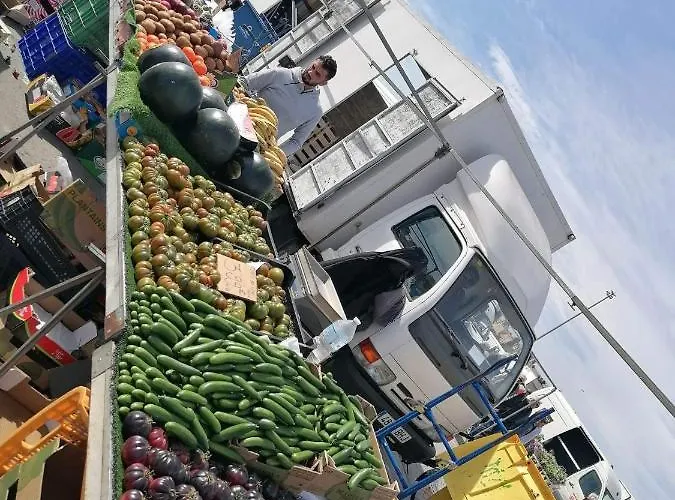 Francisco Casanovas Apartment Torrevieja